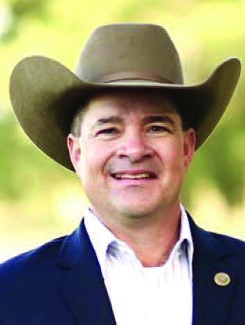King to hold town hall Nov. 19
