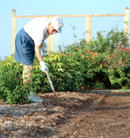 Start early for fall gardening preparation