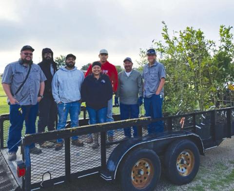 LEVELLAND’S TINY TREE FOREST