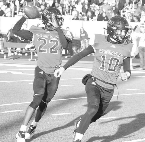 LOOKING DOWN FIELD- Shamadrick Weaver went 5-for-10 for 47 yards and a touchdown in a 76-31 UIL Class 1A-2 high school football sem-final loss to the Benjamin Mustangs on Saturday in Hermleigh. The Panthers finish their season at 12-2.UIL Class 1A-2 high school football sem-final. (Photo Courtesy of Jay Kelley)