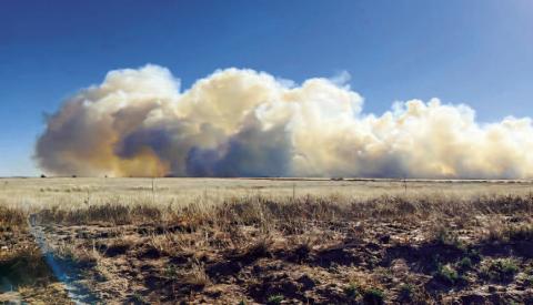 GRASS FIRE - Levelland-Hockley County Emergency issued a notification of a large grass fire near Barton Lane and Delaware Road Sunday morning around 9:45 a.m. Travelors were advised to avoid the area as a heavy presence of emergency vehicles attempted to contain the fire. The LFD called for mutual aid from the Smyer Fire Department, Hockley County and the state. Burning roughly 160 acres, fire crews were able to leave the scene around 2 p.m. (Photo courtesy of Hockley County Emergency Management)