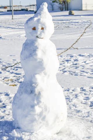 LOCAL SNOWMAN- Several community members made snowmen after the winter storm this past weekend. Schools were closed Monday through Wednesday along with many businesses, which allowed residents plenty of time to play in the snow. (Staff photo by Jentezen Smith)